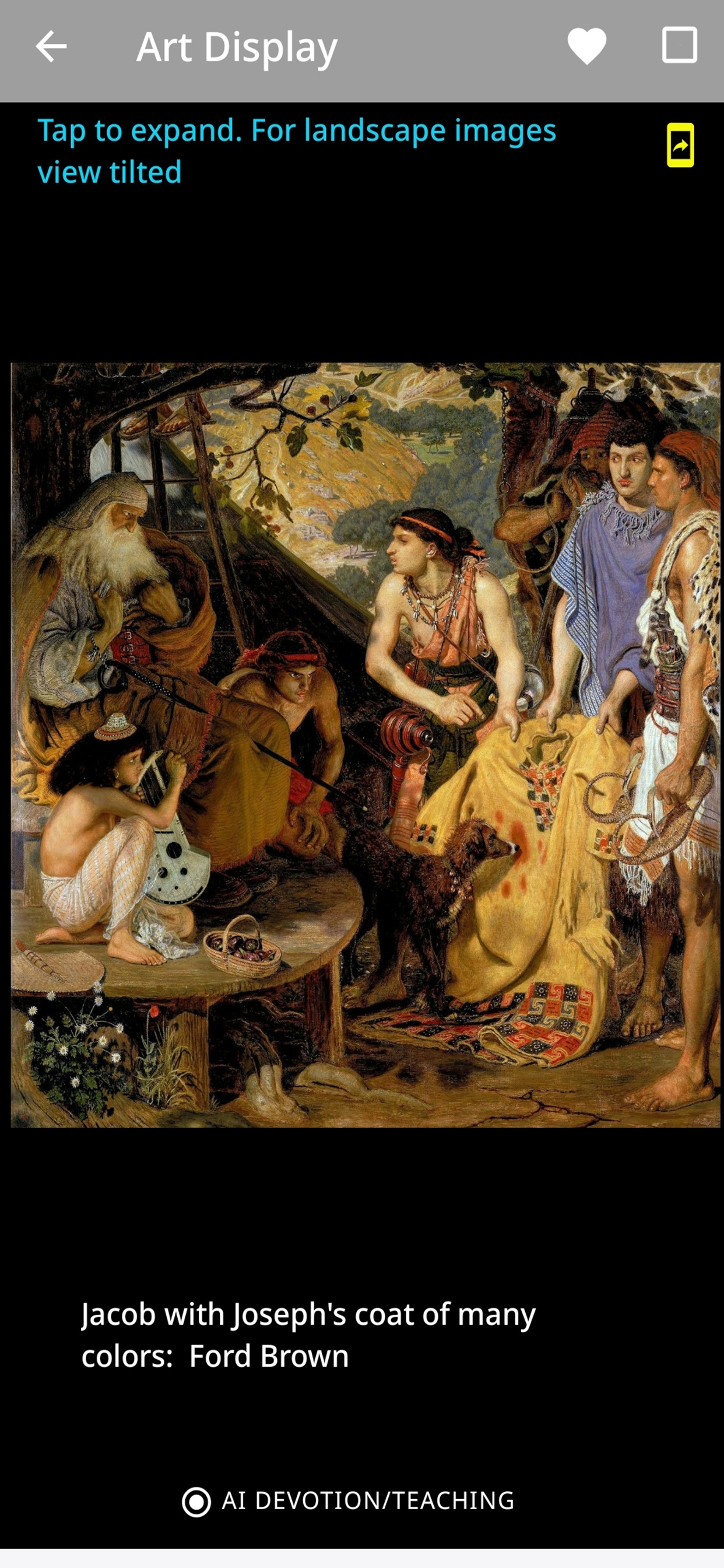 Josephs-coat-is-found